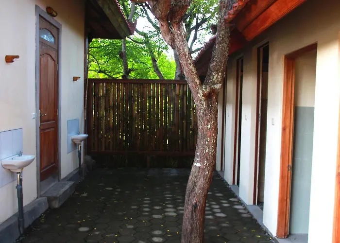 Bananaleaf Hostal *